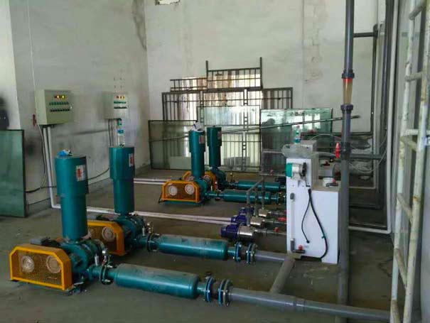 羅茨鼓風(fēng)機(jī) 羅茨鼓風(fēng)機(jī)