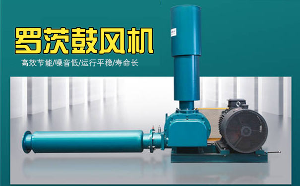 羅茨鼓風(fēng)機 羅茨鼓風(fēng)機