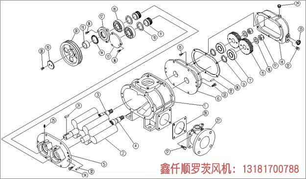 羅茨風機工作組成部件